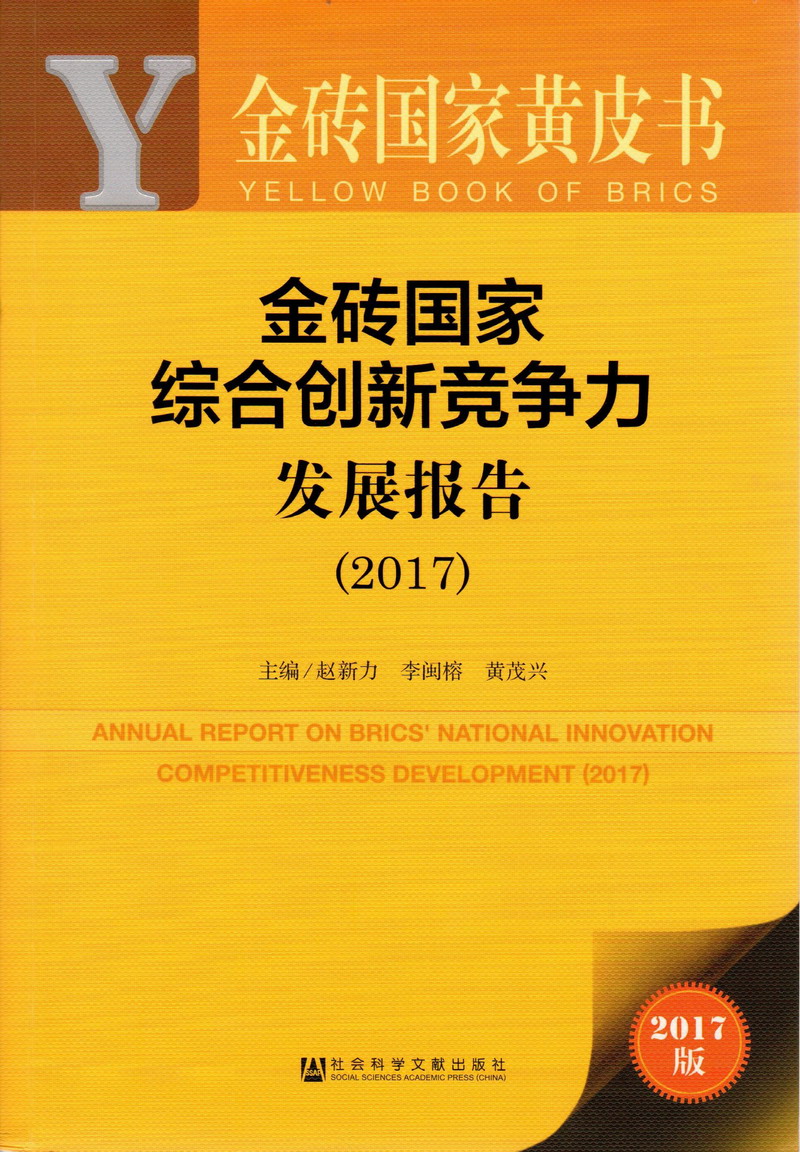 用力插进去视频金砖国家综合创新竞争力发展报告（2017）